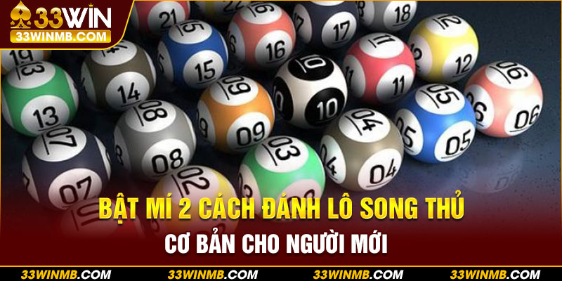 Bật mí 2 cách đánh lô song thủ cơ bản cho người mới