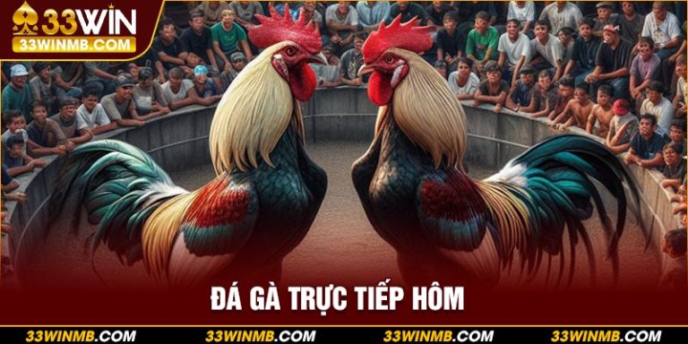 đá gà trực tiếp hôm nay