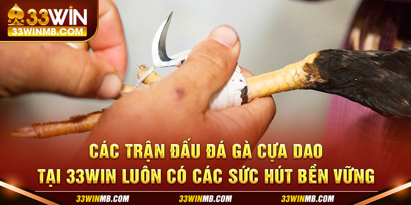 Các trận đấu đá gà cựa dao tại 33WIN luôn có các sức hút bền vững