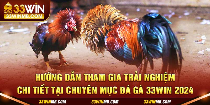 Hướng dẫn tham gia trải nghiệm chi tiết tại chuyên mục đá gà 33WIN 2024