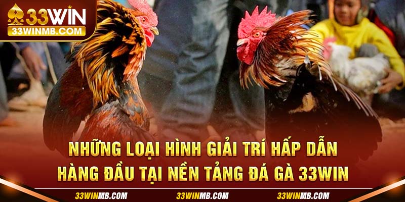 Những loại hình giải trí hấp dẫn hàng đầu tại nền tảng đá gà 33WIN